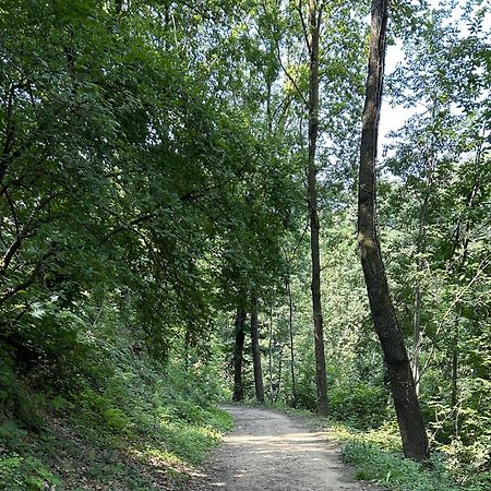 贝尔加莫Il Giardino Di Berbech Citta Alta-Ulivo公寓 外观 照片