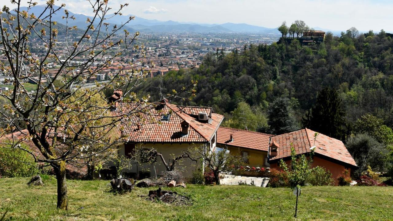 贝尔加莫Il Giardino Di Berbech Citta Alta-Ulivo公寓 外观 照片