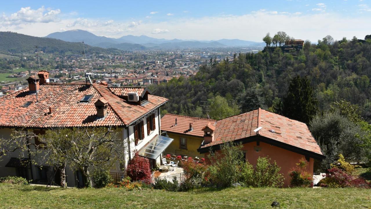 贝尔加莫Il Giardino Di Berbech Citta Alta-Ulivo公寓 外观 照片