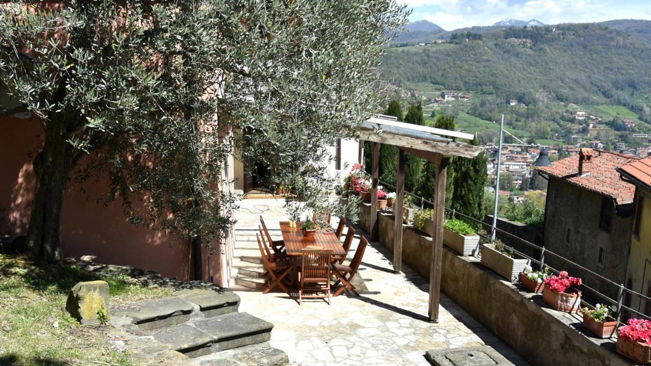 贝尔加莫Il Giardino Di Berbech Citta Alta-Ulivo公寓 外观 照片