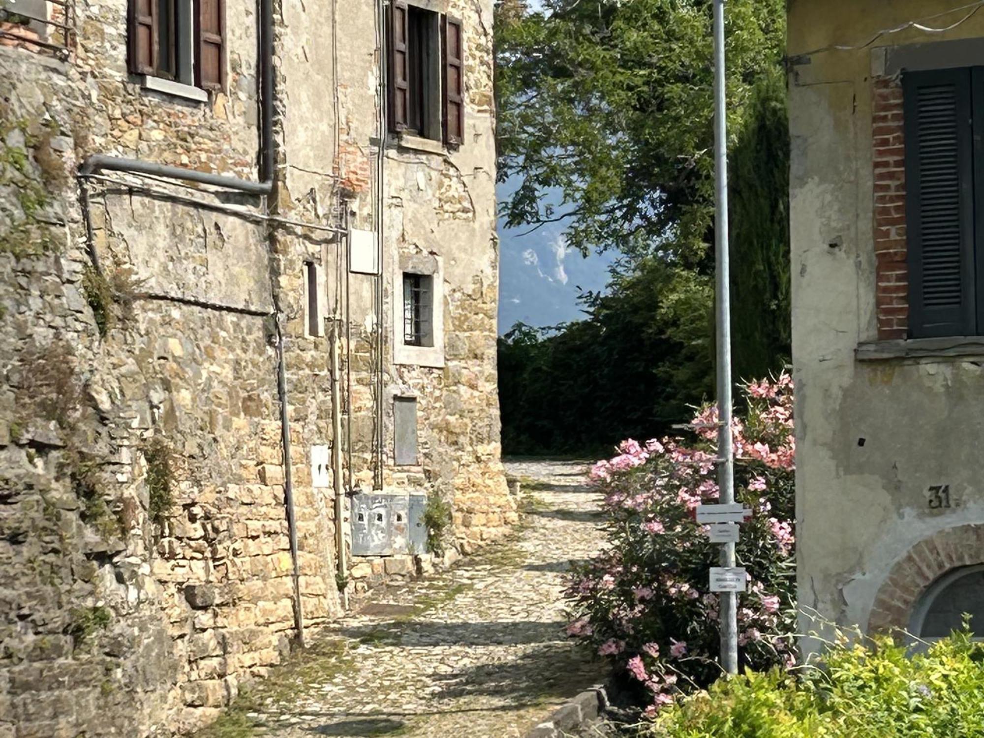贝尔加莫Il Giardino Di Berbech Citta Alta-Ulivo公寓 外观 照片
