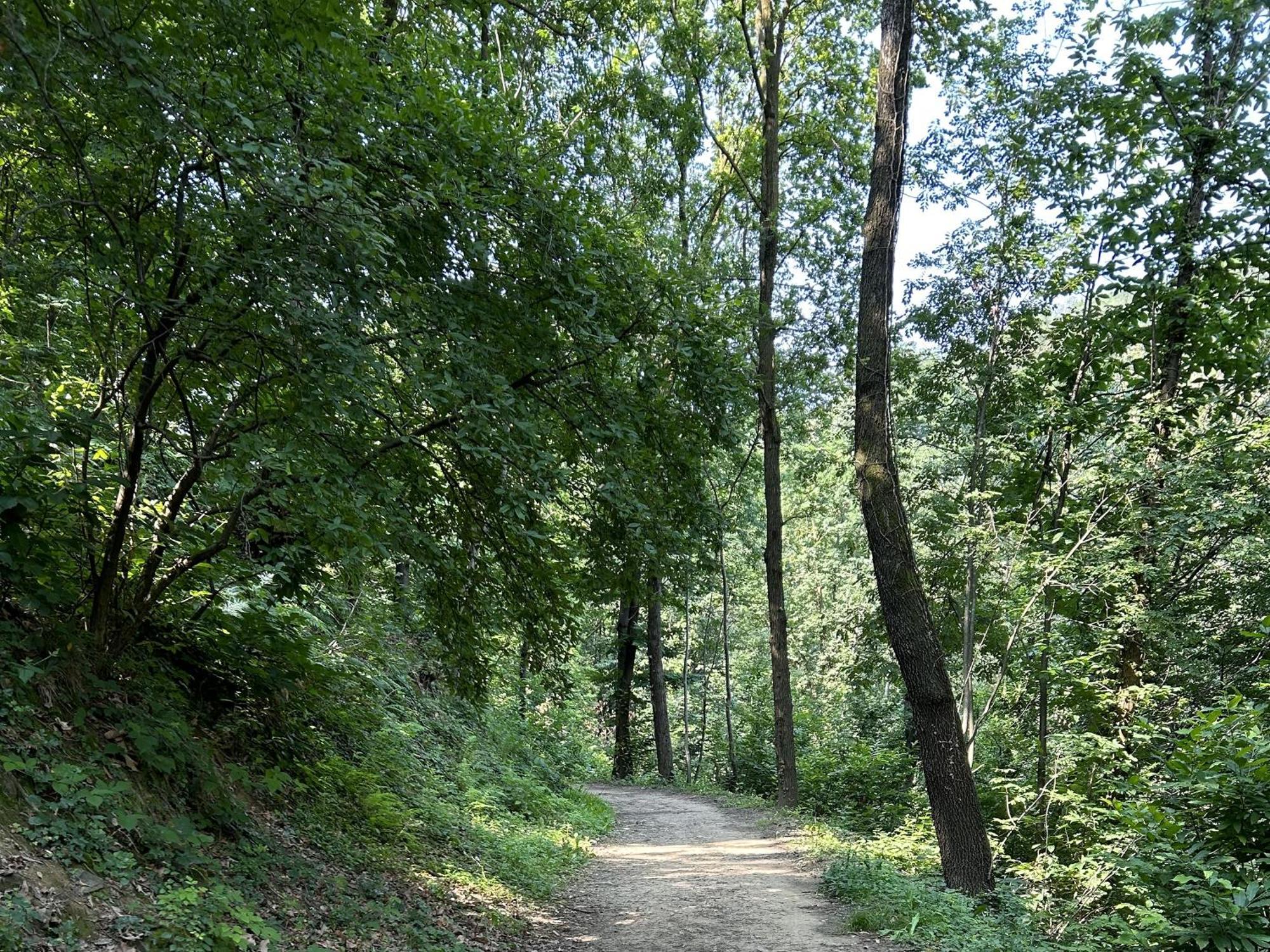贝尔加莫Il Giardino Di Berbech Citta Alta-Ulivo公寓 外观 照片